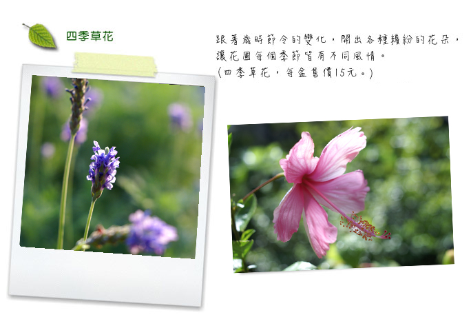 157a12c46bb77ee55a4a310a36a28780.jpg