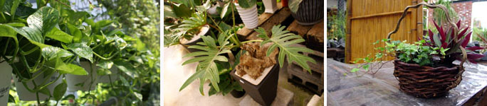38249a12fe01969ae19f7fd7f63c67cd.jpg