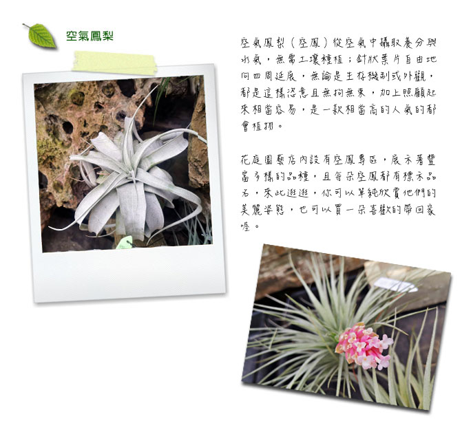 c953fee36449fb290392098be89cdca8.jpg