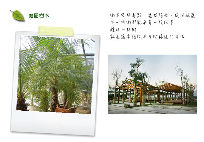 a01.jpg