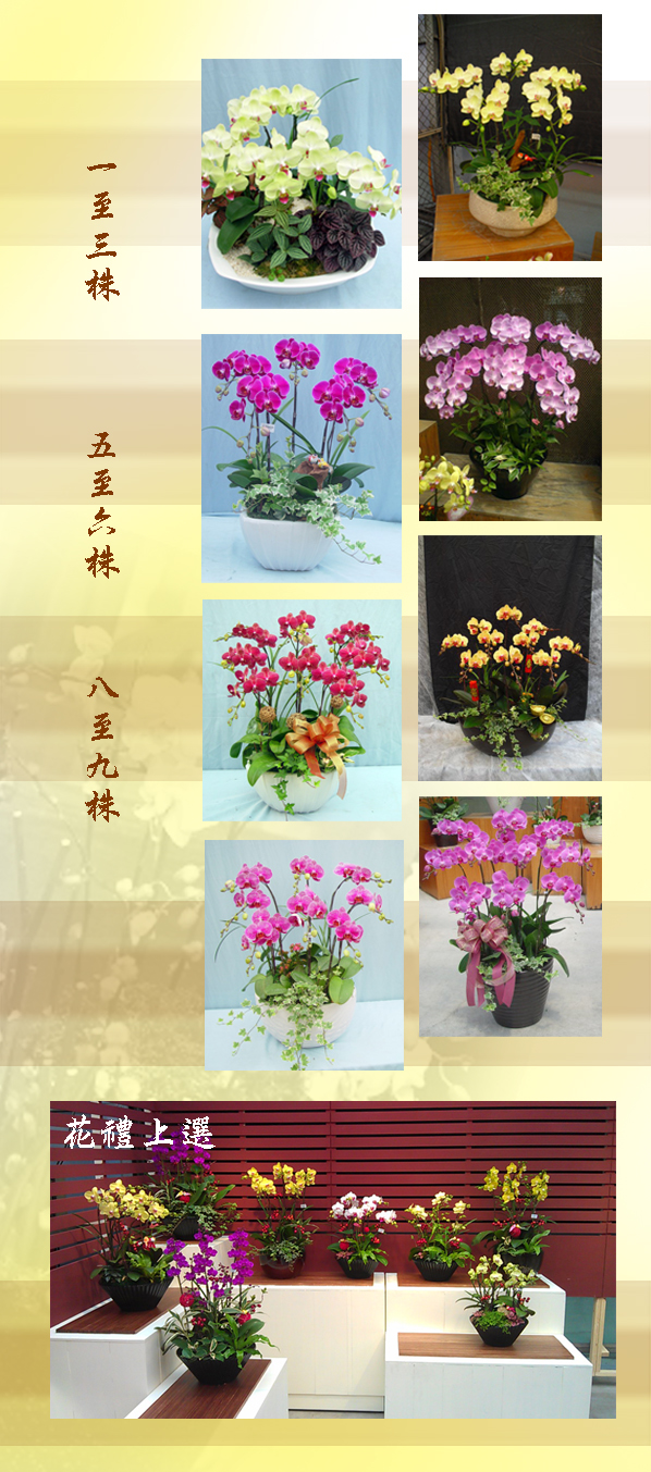 order_01%2020140809.jpg